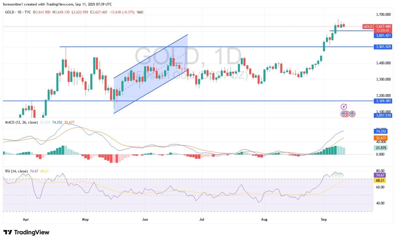 【XM Market Review】--Gold Analysis: Gold Prices Stable Near Highs Ahead of Key Events(图1)